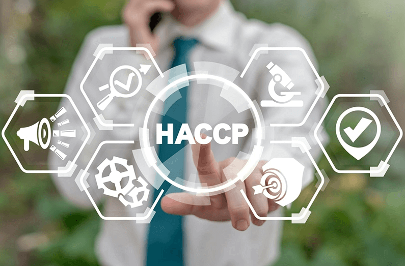 rinnovo HACCP Roma