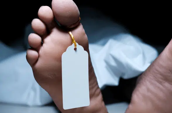 morte da avvelenamento da cibo